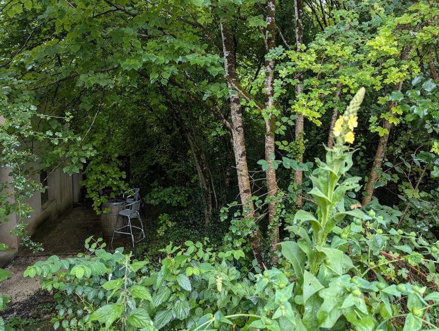 Gite Zen Dans Les Bois Blesignac Esterno foto